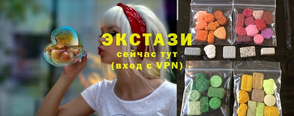 PSILOCYBIN Ельня