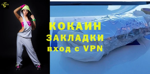 PSILOCYBIN Ельня