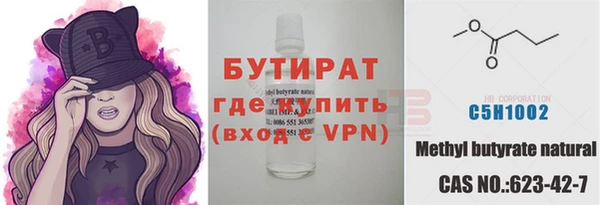 PSILOCYBIN Ельня