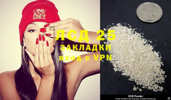 PSILOCYBIN Ельня