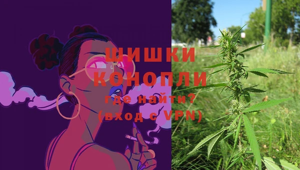 PSILOCYBIN Ельня