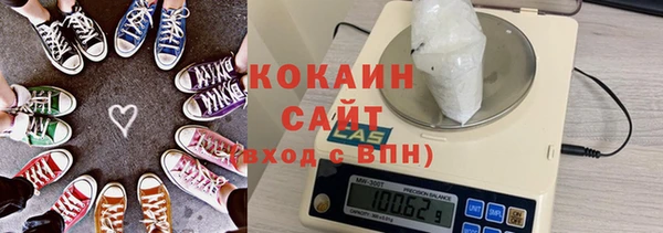 PSILOCYBIN Ельня