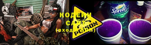 PSILOCYBIN Ельня