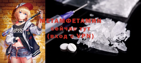 PSILOCYBIN Ельня