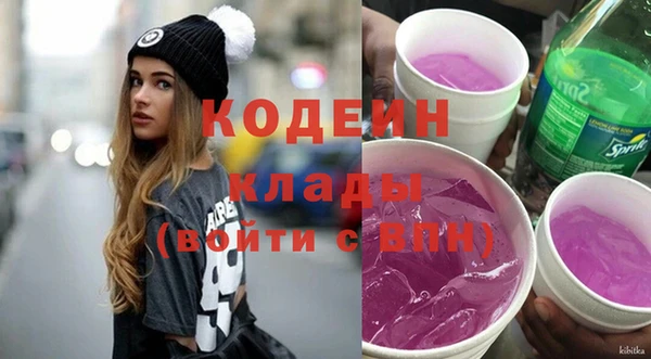 PSILOCYBIN Ельня