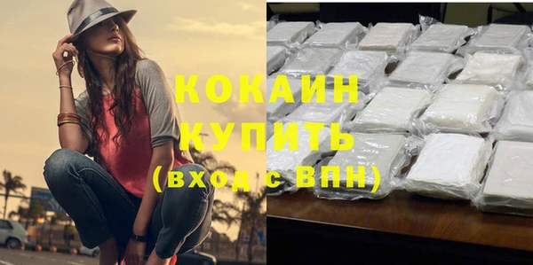 PSILOCYBIN Ельня